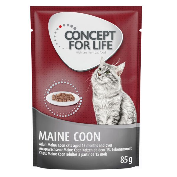 Concept for Life Maine Coon Adult - Vylepšená receptura! - Nový doplněk: