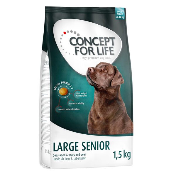Concept for Life Large Senior -