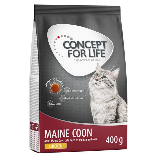 Concept for Life Maine Coon Adult -