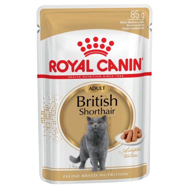 Royal Canin Breed British Shorthair -