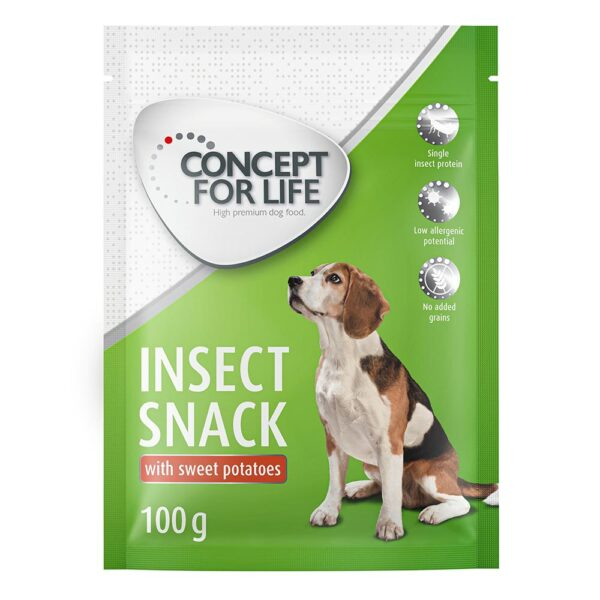Concept for Life Insect Snack s batáty