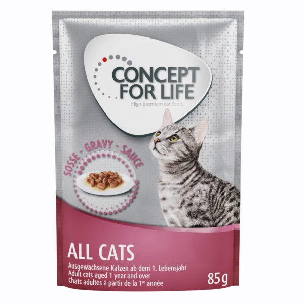 Concept for Life All Cats - v omáčce