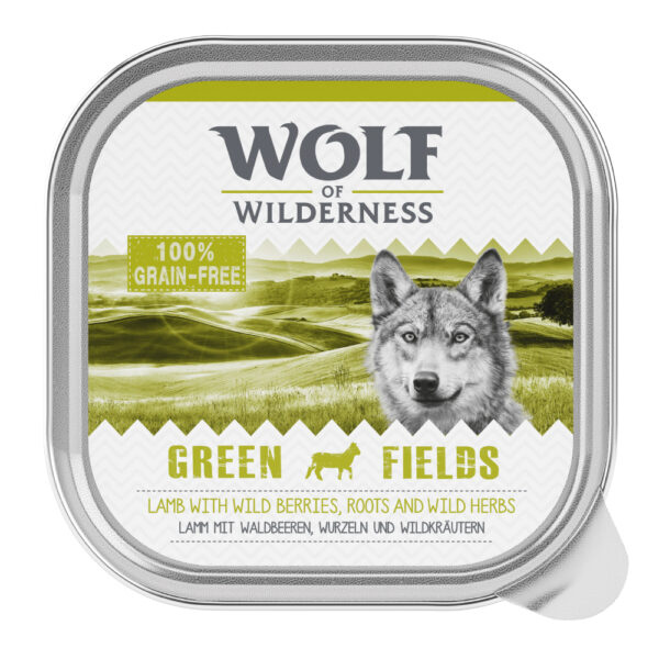 Wolf of Wilderness Adult 12 x 300 g