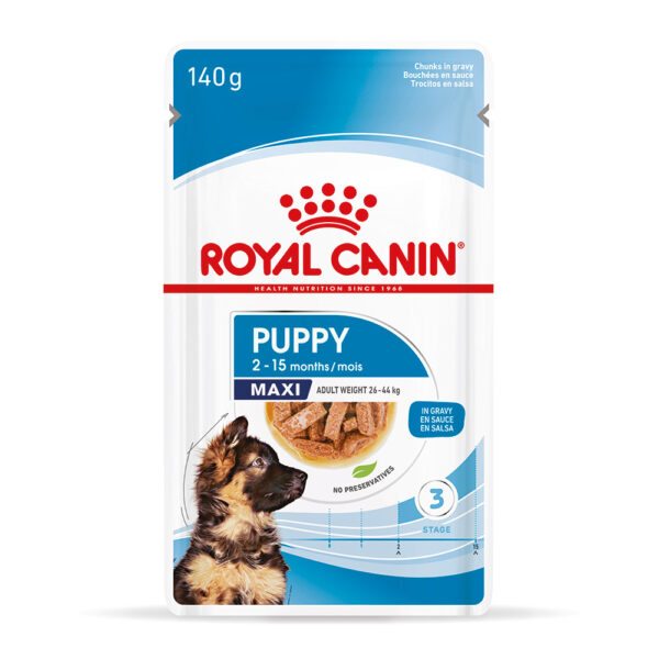 Royal Canin Maxi Puppy  - jako doplněk: mokré krmivo
