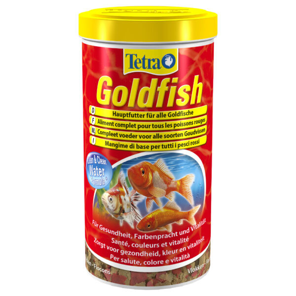 Tetra Goldfish - 1