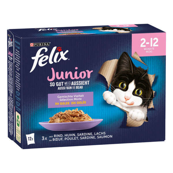 Felix Fantastic ("So gut...") - Junior - kuřecí
