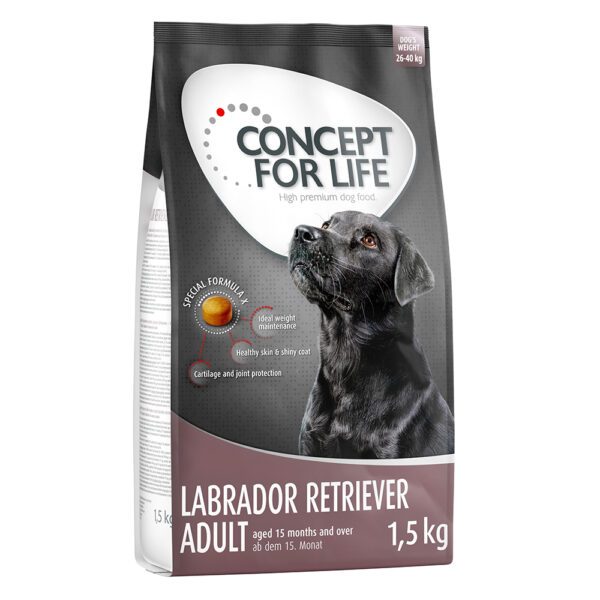 Concept for Life Labradorský retrívr Adult -