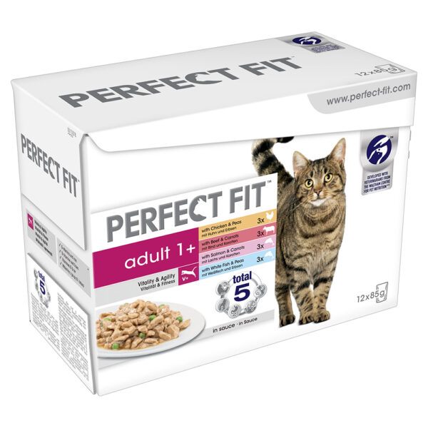 Perfect Fit Mixpack - 24