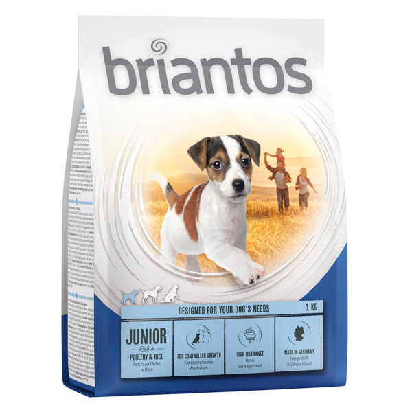 Briantos Junior Young & Fit -
