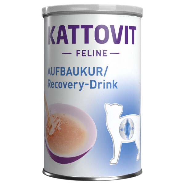 Kattovit Recovery Drink - 12 x