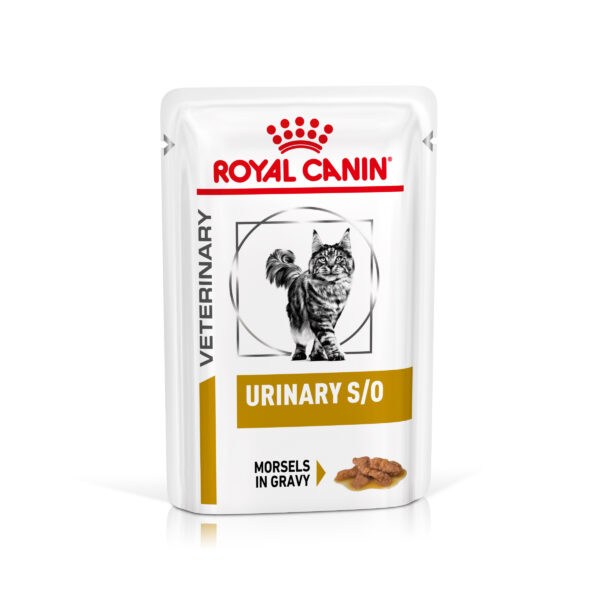 Royal Canin Veterinary Feline Urinary S/O - 24