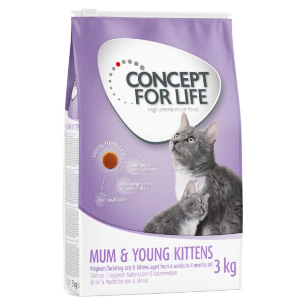 Concept for Life Mum & Young Kittens –