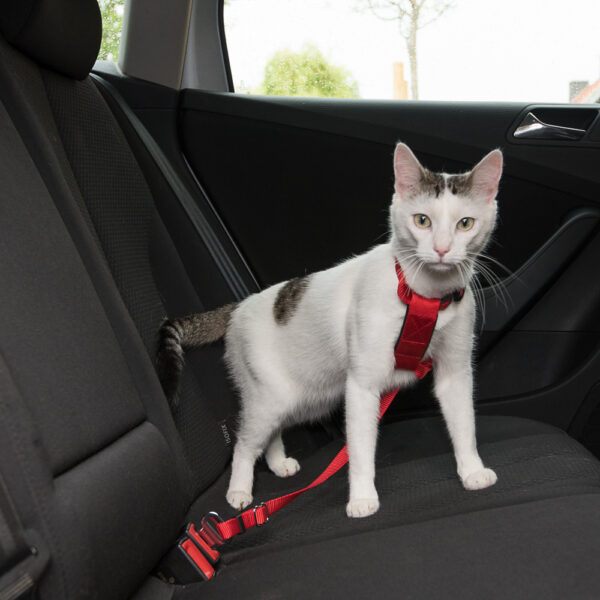 Trixie Bezpečnostní postroj do auta pro kočku 20