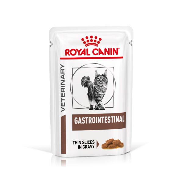 Royal Canin Veterinary Feline Gastrointestinal -