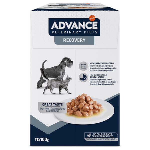 Advance Veterinary Diets Recovery - 11