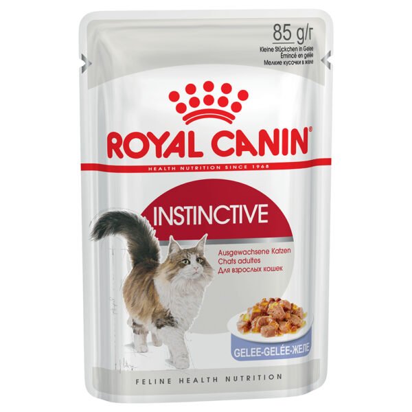 Royal Canin Sensible 33 - jako doplněk: mokré krmivo 12