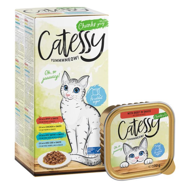 Mixpack Catessy mističky 64 x 100 g