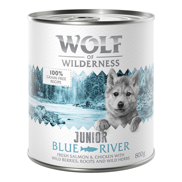 Výhodné balení: Little Wolf of Wilderness Junior 12 x 800