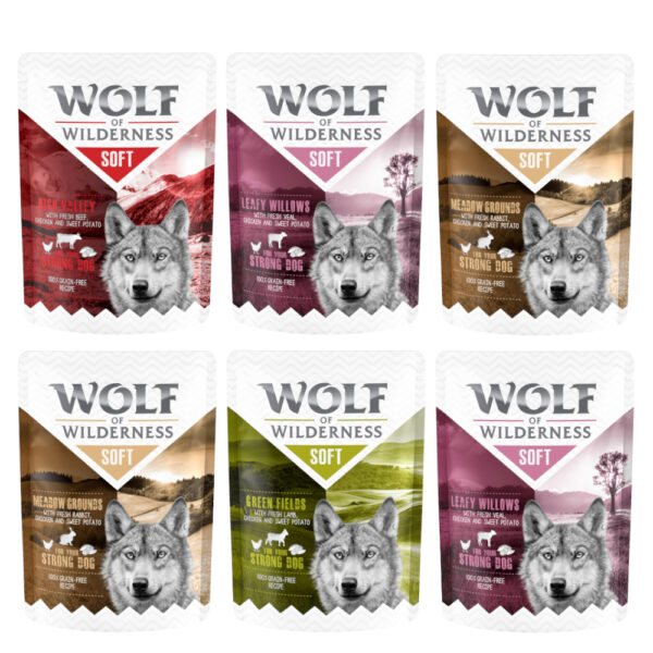Wolf of Wilderness Adult 6 x 300 g -