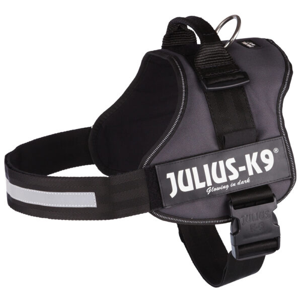 JULIUS-K9® Power postroj - antracitový -
