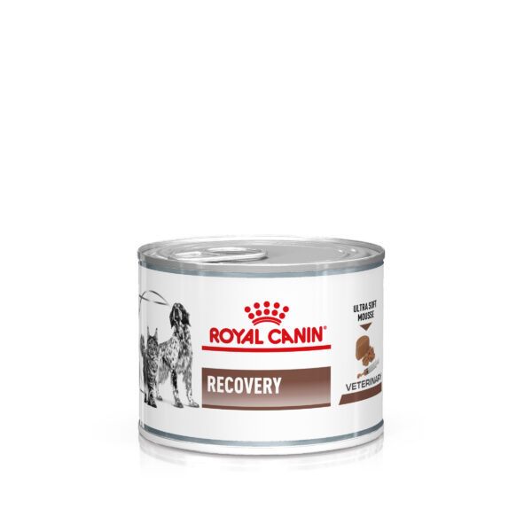 Royal Canin Veterinary Feline Recovery Mousse -
