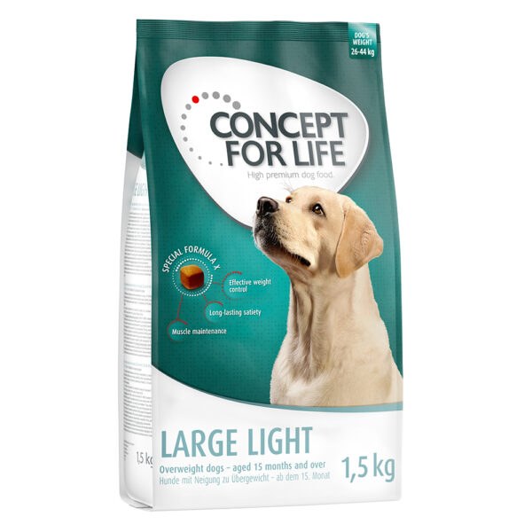 Concept for Life Large Light -