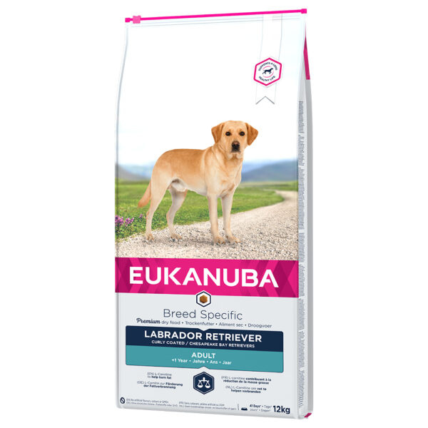 Eukanuba Labrador Retriever -