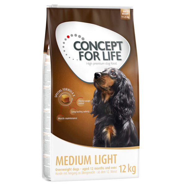 Concept for Life Medium Light -