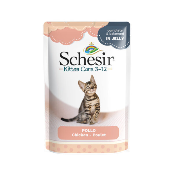 Výhodné balení Schesir Cat Jelly Pouch 24 x