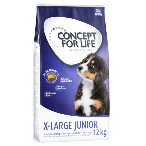 Concept for Life X-Large Junior