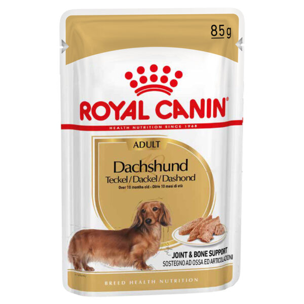 Royal Canin Dachshund Adult - jako doplněk: mokré krmivo 24