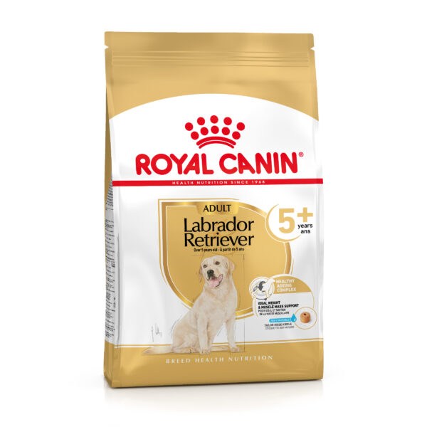 Royal Canin Breed Labrador Retriever Adult 5+ -