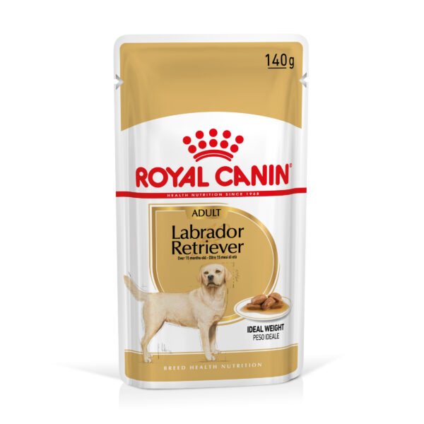 Royal Canin Breed Labrador Retriever Adult v omáčce