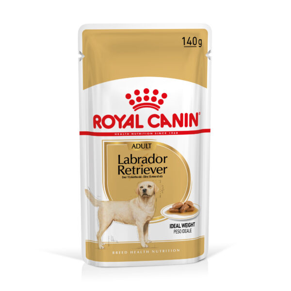 Royal Canin Labrador Retriever Adult - jako doplněk: mokré krmivo 20