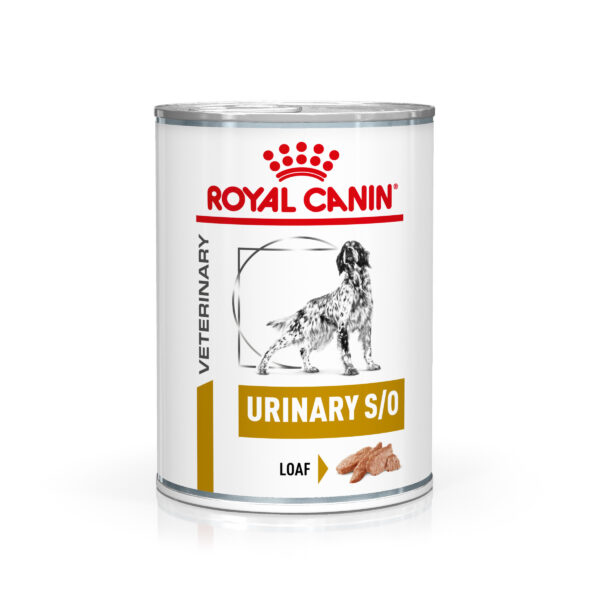 Royal Canin Veterinary Health Nutrition Dog Urinary S/O