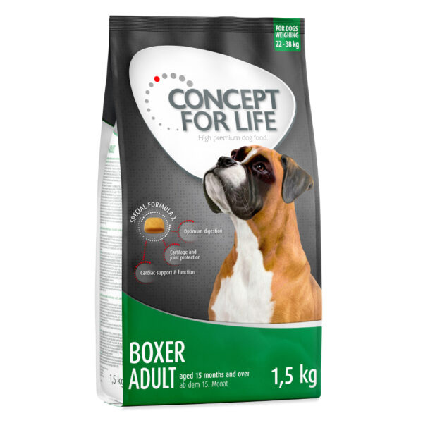 Concept for Life Boxer Adult