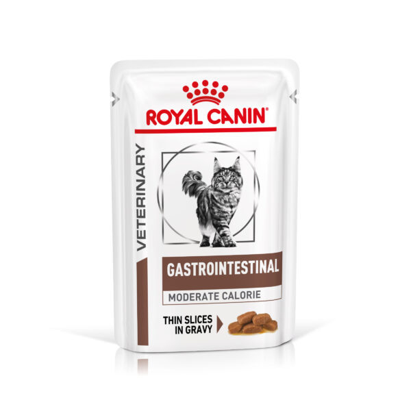 Royal Canin Veterinary Feline Gastrointestinal Moderate Calorie