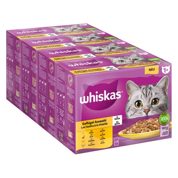 Whiskas 1+ kapsičky 48 x 85 g / 100 g -