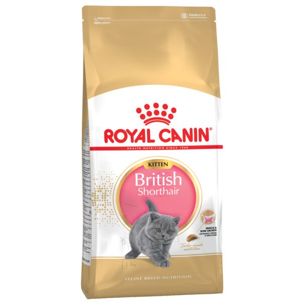 Royal Canin Kitten British Shorthair -