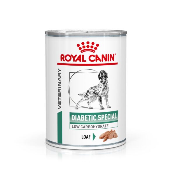 Royal Canin Veterinary Diabetic Special Low Carb Weight Management