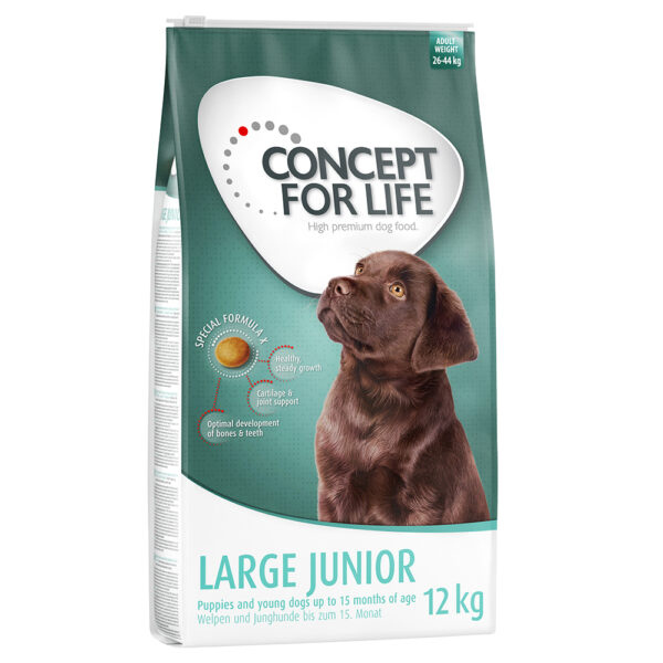 Concept for Life Large Junior -