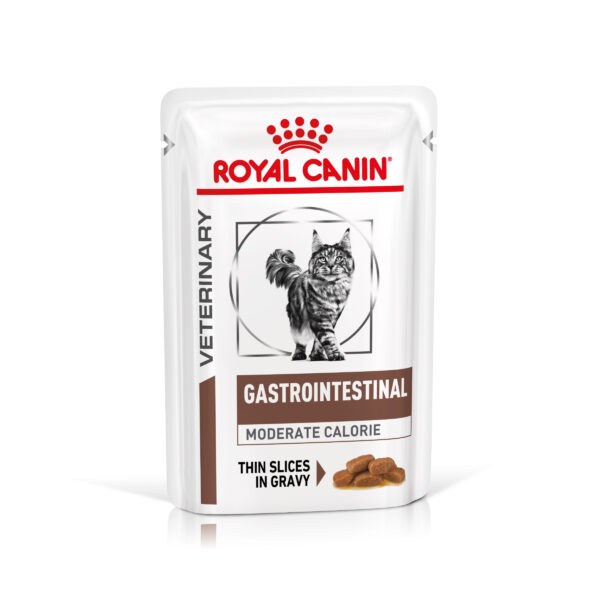 Royal Canin Veterinary Feline Gastrointestinal Moderate Calorie -