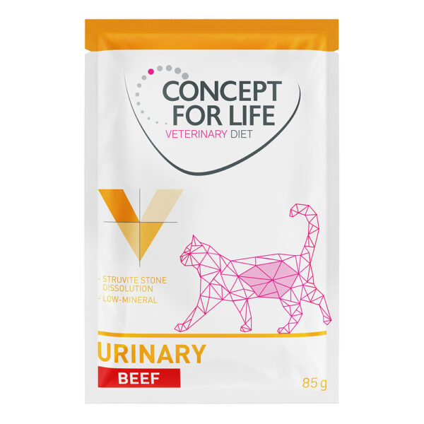 Concept for Life Veterinary Diet Urinary Beef