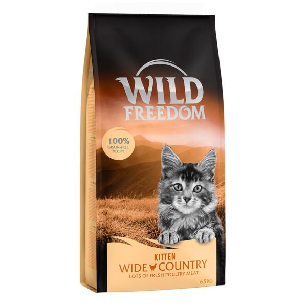 Wild Freedom Kitten  - 2