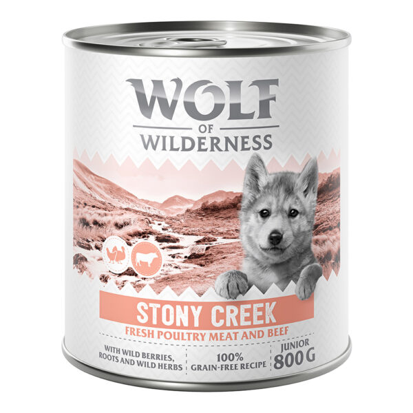Wolf of Wilderness Junior – drůbež s hovězím